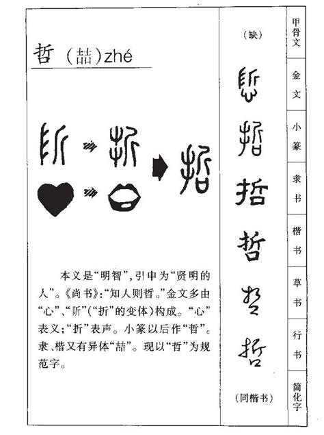 哲字五行|哲字的五行属性